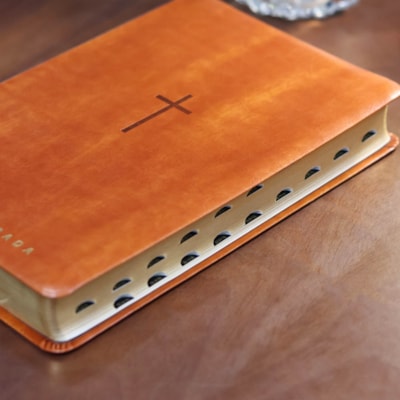 image_505fc0e3-110c-4208-89f8-7e9bd31a53a8