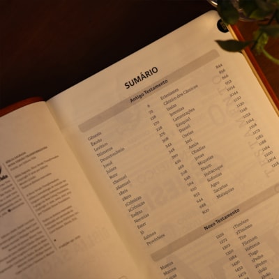 image_74aefd18-78c3-4656-80dd-dff33ea08bc6