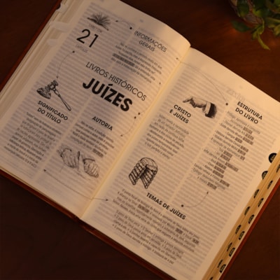 image_3152eb47-487c-4041-88bf-8b93ed7f3e9f