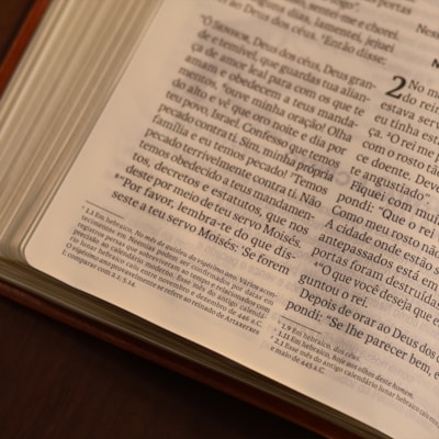 image_aafd44e4-eebe-48aa-83bc-d7d8cf7fdbab