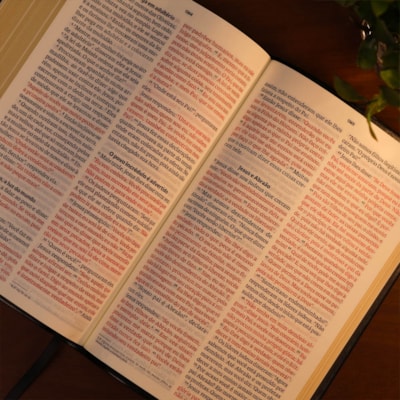 image_6cbcac11-43d4-4f98-a8a3-b8df2e141a5e