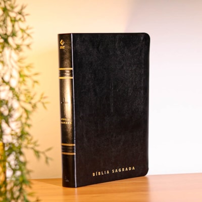 image_435afd9f-3888-45d7-af8b-a412504539eb