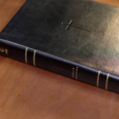 image_302b6c06-15ac-4f20-ae5d-e19d7c7ec4e0