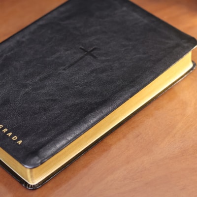 image_11622873-79f3-448f-889d-796e9576083c