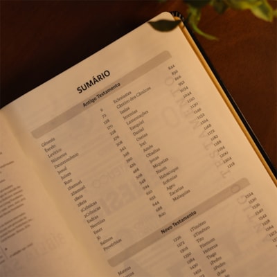 image_9974a31b-efc7-4cc3-ab6f-eb8a1521e194