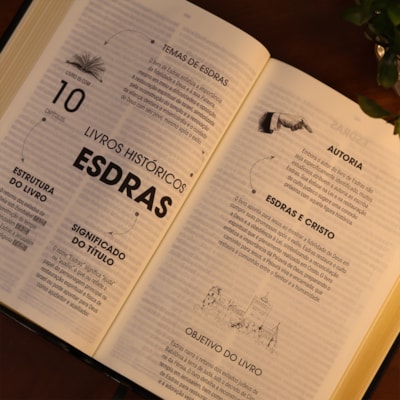 image_0c50c5da-5133-4b70-8ef4-b583adeffc2d