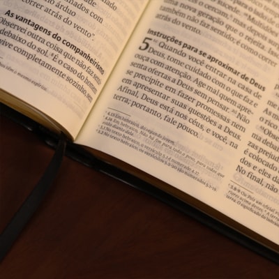 image_44df2049-8695-4cf5-8ef7-26e8dc8d9aca