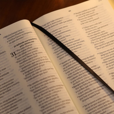 image_2ac610cb-6fe3-4cda-8d5c-bcb7196667af