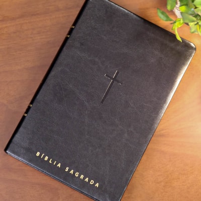 image_9a164b21-75e9-464d-90dd-2ca28cb6bb33