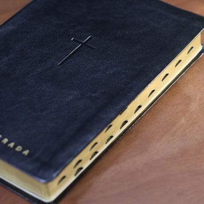 image_f72ff16d-7546-4b89-a689-4dfb1df9b3f9