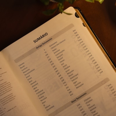 image_c920f76d-ec7e-4f88-8796-1626d8a6f7b2