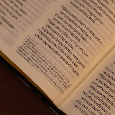 image_cc4d46c3-ddd5-478f-bc26-0a4c517378c3