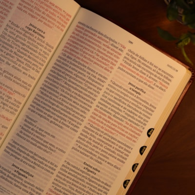 image_ee223ae3-a7dd-4f47-a4f1-99f1b50c2d9f