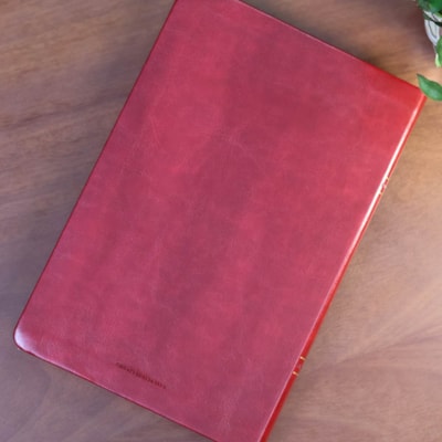 image_e1c95e01-dad8-441e-94a8-929986bb1032