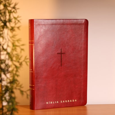 image_b7082c5a-10db-4d01-b4bd-7dc331ee794c