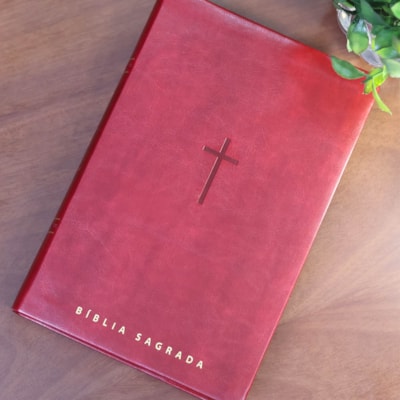 image_8938ea6f-1f39-4332-b7ec-10fbe7b0fbf7