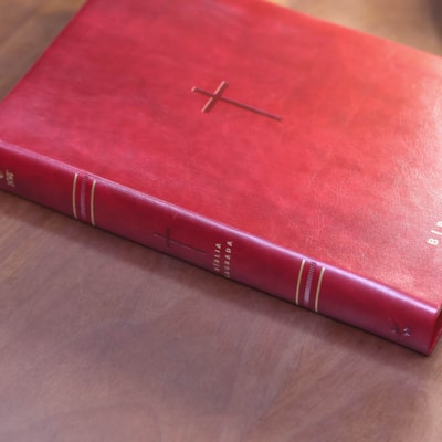 image_fe987f58-5aa0-431a-80d2-05db97f74fc7