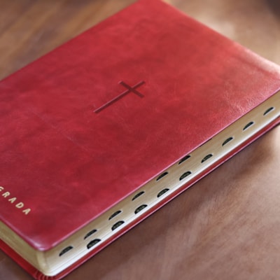 image_bc9665f6-7957-4f9c-b173-16c2f0af2b50