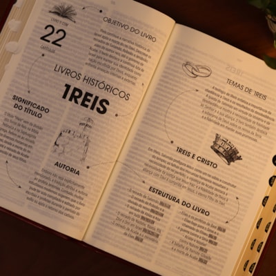 image_41bbfae5-47a7-4928-b02c-9355fb3f11e2