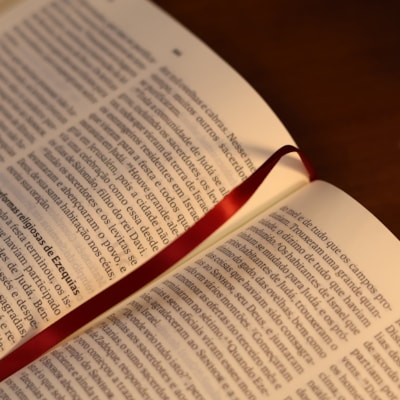 image_704a1e7f-cef7-4016-b0c8-68138d1b8e81