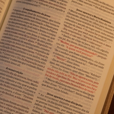 image_93acd2db-77b1-40d6-879e-2fae62b75e84