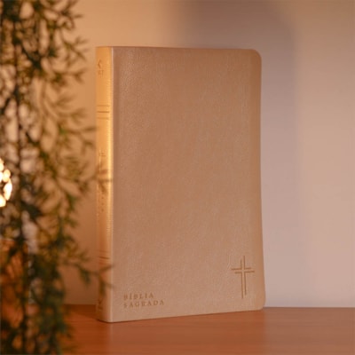 image_f8344ee0-5295-4637-aa0a-5c5f4eeb70d5