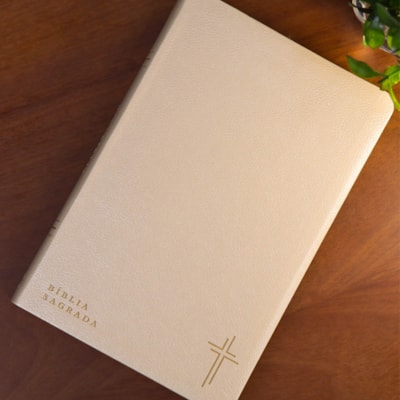 image_09194e38-3f07-4e42-97fc-066901beadc0