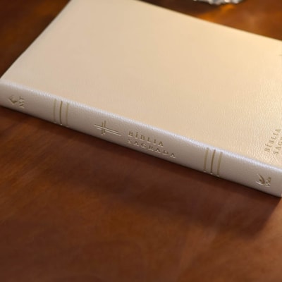 image_d5481fba-5c0d-48d1-ad27-ce4fdaa20d23