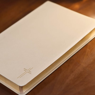 image_24f4becc-8afc-47a9-8bb5-7551aefa8221