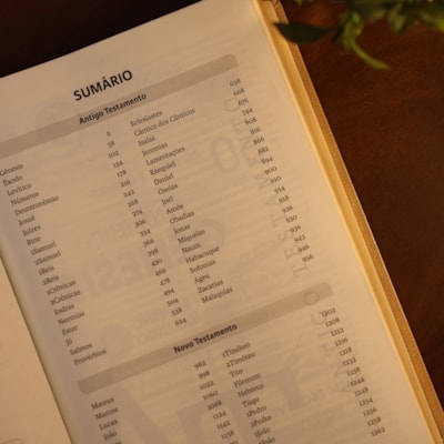 image_c630b1a3-caf3-440e-8e0a-d36e52b78b41