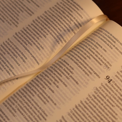 image_a8fe0baf-1e20-4cff-a003-eb57d0798e1f