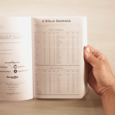 image_9f31f963-5b32-4181-aab3-53df849f63aa