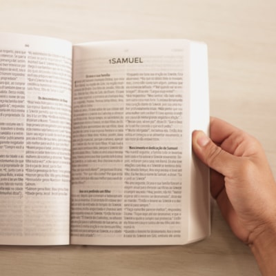 image_43b4d8ab-0c26-4d2d-9d2c-0be24c813899