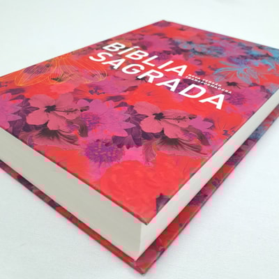 image_e6698e83-5346-4890-b8b2-c04f77eb422a