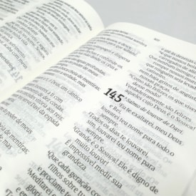 Segunda imagem do produto Bíblia Sagrada | NVT | Letra Grande | Capa Jesus