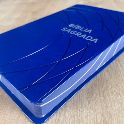 image_20c10955-f446-402c-ba5f-dc757ea82b35