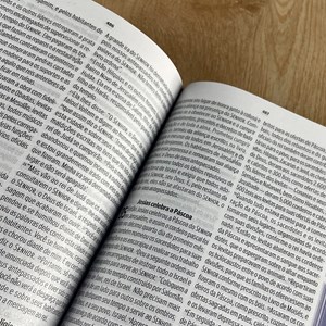 Bíblia Sagrada | NVT | Letra Grande | Capa Luxo Fendi