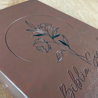 image_bbaa2d97-fac6-42d0-9c18-e840ed7c126d