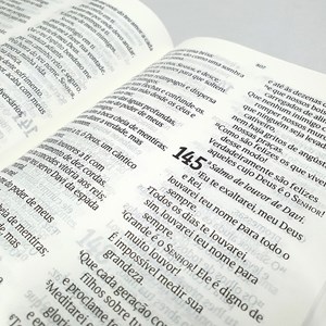 Bíblia Sagrada | NVT | Letra Grande | Capa Primavera