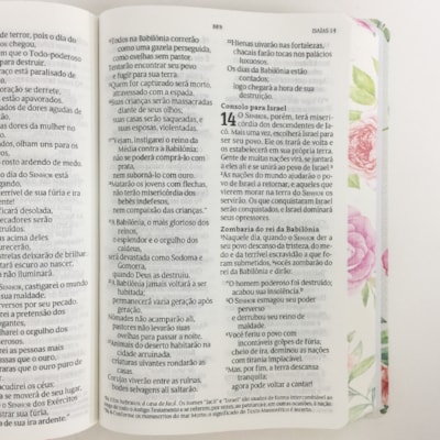 image_613257a3-92fc-47b0-aeec-0fefaecf5cd2