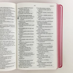Bíblia Sagrada | NVT Letra Grande | Jesus