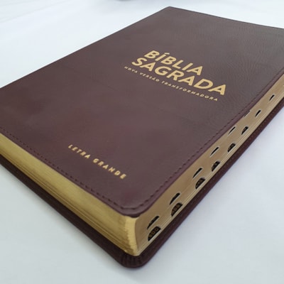 image_fe61b50b-9d59-4e20-8bd7-86cb6121d237