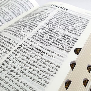 Bíblia Sagrada | NVT | Letra Grande | Luxo Marrom C/ Índice