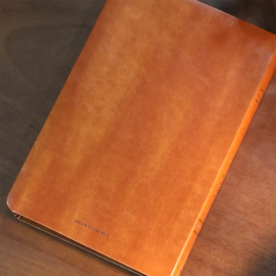 image_cc61ad2e-c3ac-47b5-adab-d176fc371415