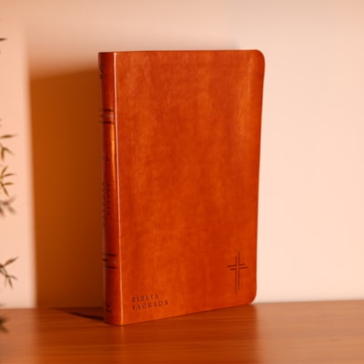 image_ef2fd8b6-ab43-4fee-9de6-60ecc94d785b