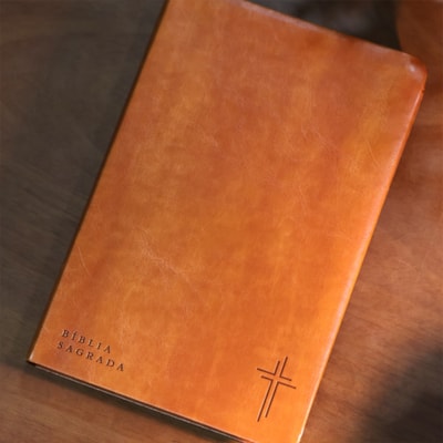 image_20875b86-ff02-41eb-adc1-d8ba96c91602