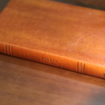 image_8d53588c-ec00-4580-abb8-8339c83726b5