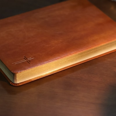 image_068cc13c-8f04-4bc0-a3c2-74c9a0299db8