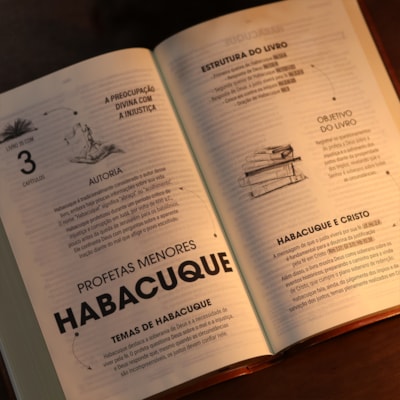 image_8f29f6a8-74b9-4afb-a586-4c90c2c319b0