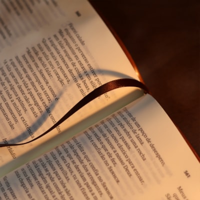 image_f3628da1-1dc5-44de-9697-3821e6ac0997